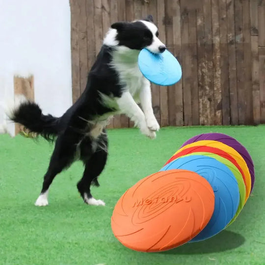 Interactief Frisbee Speelgoed voor Honden