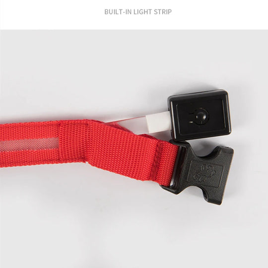LED Veiligheidshalsband